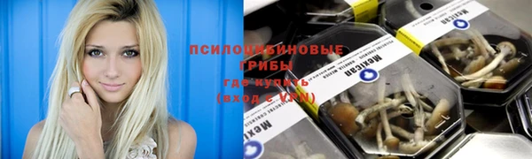 твердый Вязьма