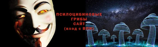 твердый Вязьма