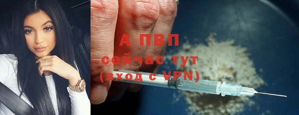 стафф Вяземский