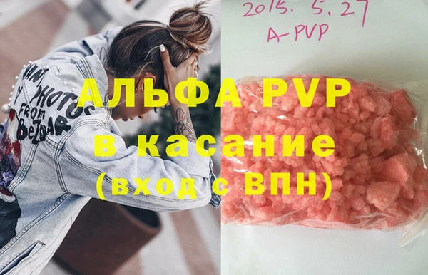 стафф Вяземский